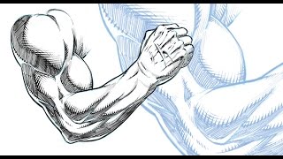 Drawing and Shading a Muscular Arm - Comic Book Style - Sketchbook Pro 8