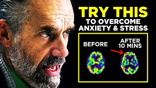 Overcome Anxiety Stress And Fear Motivation by Jordan Peterson 2021