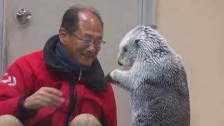 鳥羽水族館 ラッコ メイちゃん｢受け取り拒否は認めませんわよ｣