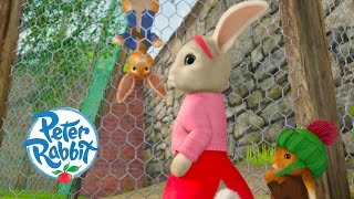 Peter Rabbit - The Mystery Plum Thief