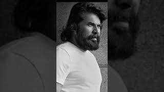 Mammookka latest photos/mammootty/superstar malayalam/actor/Twinkle Star