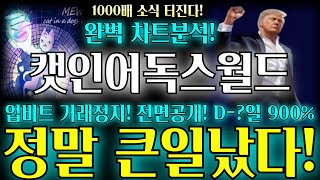 캣인어독스월드 완벽 차트분석! 업비트 거래정지 전면공개 900% 정말 큰일났다! 빠른확인 필요합니다! #캣인어독스월드코인 #캣인어독스월드 #캣이언독스월드코언전망