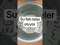 su fal ı neler oluyor kahvefalı tarot eril disil neler yaşanıyor