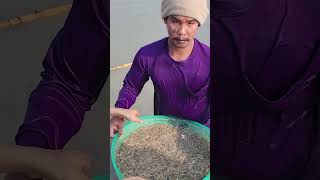 กุ้งฝอยมาจากไหน อาชีพสร้างรายได้งาม | เอิร์ธสดชื่น สร้างอาชีพ นครปฐม