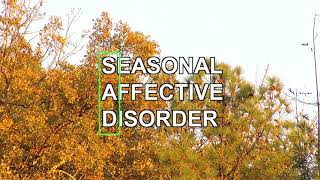 Fall back time change connected to seasonal depression