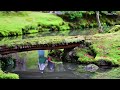 苔寺・西芳寺／スティーブ・ジョブズも愛した庭園／紅葉／世界遺産／