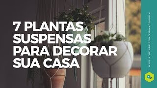 7 PLANTAS SUSPENSAS para DECORAR sua CASA | Decoração