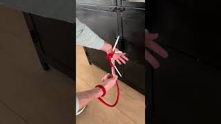 🧠 IMPOSSIBLE Rope Puzzle!