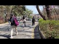 seoul on a warm spring day seoul women s university｜fourseasonwalker 4k