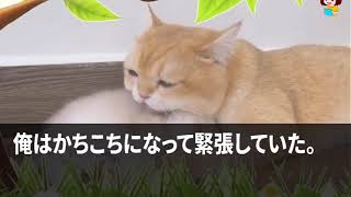 【スカッとする話】社長令嬢とのお見合いで相手父「片親育ち？貧乏人は帰れｗ」実は義父の取引先社長の俺「すべての取引中止しますね」