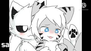 Tiger Shark Changed