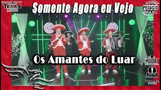 Somente Agora eu Vejo - OS AMANTES DO LUAR (Gravado em Estúdio)