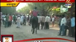 ZEE24TAAS : Akluj-  Horse more costly than Mercedes Benz !