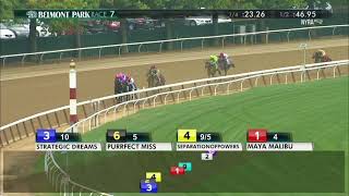 Separationofpowers - 2017 Frizette Stakes