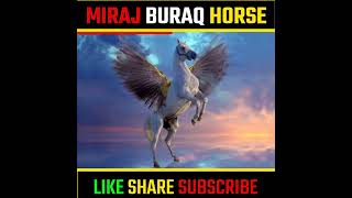 What is Baraq | Buraq kya hai | amazing facts about Buraq #shorts #islamicfacts