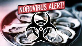 Norovirus Outbreak: Record Surge in Cases Across the USA – What You Need to Know!