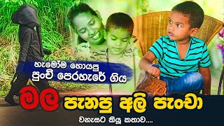 වැඩි අවධානයකින් හැමෝම හොයපු පුංචි පෙරහැරේ ගිය මල පැනපු අලි පැංචා වනැසට කියු කතාව | WANESA TV