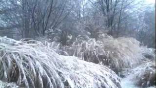 Wintereinbruch im Gräsergarten