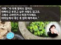 실화사연 가사도우미인 내가 찾아간 남자집에 며느리가 낯선아기를 안고 있는데 “네가 대체 왜 여기있어 ” 며느리가 내게 울며 고백한 충격적인 진실에 아들에게 일생일대 복수