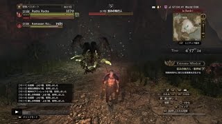 DDON 歪みの執行人 限界域　二人で生還