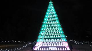 国営昭和記念公園　Winter Vista　Illumination　2015