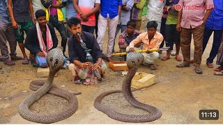 amazing street performer or busker😱😱 | cobra flute music played by the snake charmer