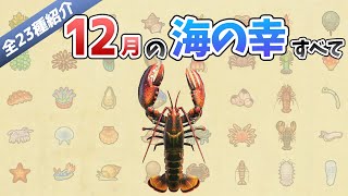 【あつ森】12月に捕れる海の幸を全てを紹介！出現時間や影のサイズ、捕まえ方、値段など徹底解説！センジュナマコやタラバガニ、ズワイガニなどレアな生き物が大量出現【あつまれどうぶつの森　12月海の幸図鑑】