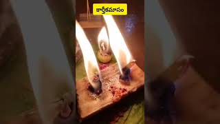 కార్తీకమాసంలో శివుడు పూజ #shorts#ytshorts#karthikamasam#karthikadeepam#karthikadeepalu