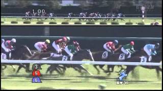 2013年 2歳未勝利 / カバーストーリー