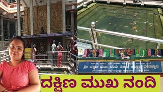 ಶ್ರೀ ದಕ್ಷಿಣ ಮುಖ ನಂದಿ | #karnatakaexplore #nithyanandana #kannadablogs