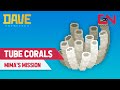 How to Get Tube Corals in Dave the Diver