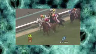 《競馬》阪神競馬場　阪神大賞典オルフェーブル