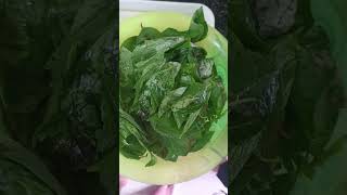 Andi royyalu gongura curry[dry prawns red sorrel leaves]