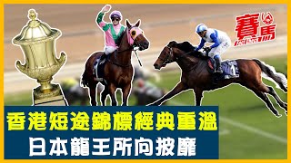 競馬回顧HKJC香港短途錦標精華！姚本輝靚蝦王成首屆冠軍 精英大師兩連霸奠定短途馬王地位！日本馬王龍王連嬴兩年 大炒對手五個馬位創贏馬最遠距離！CC中文字幕#賽馬FactCheck