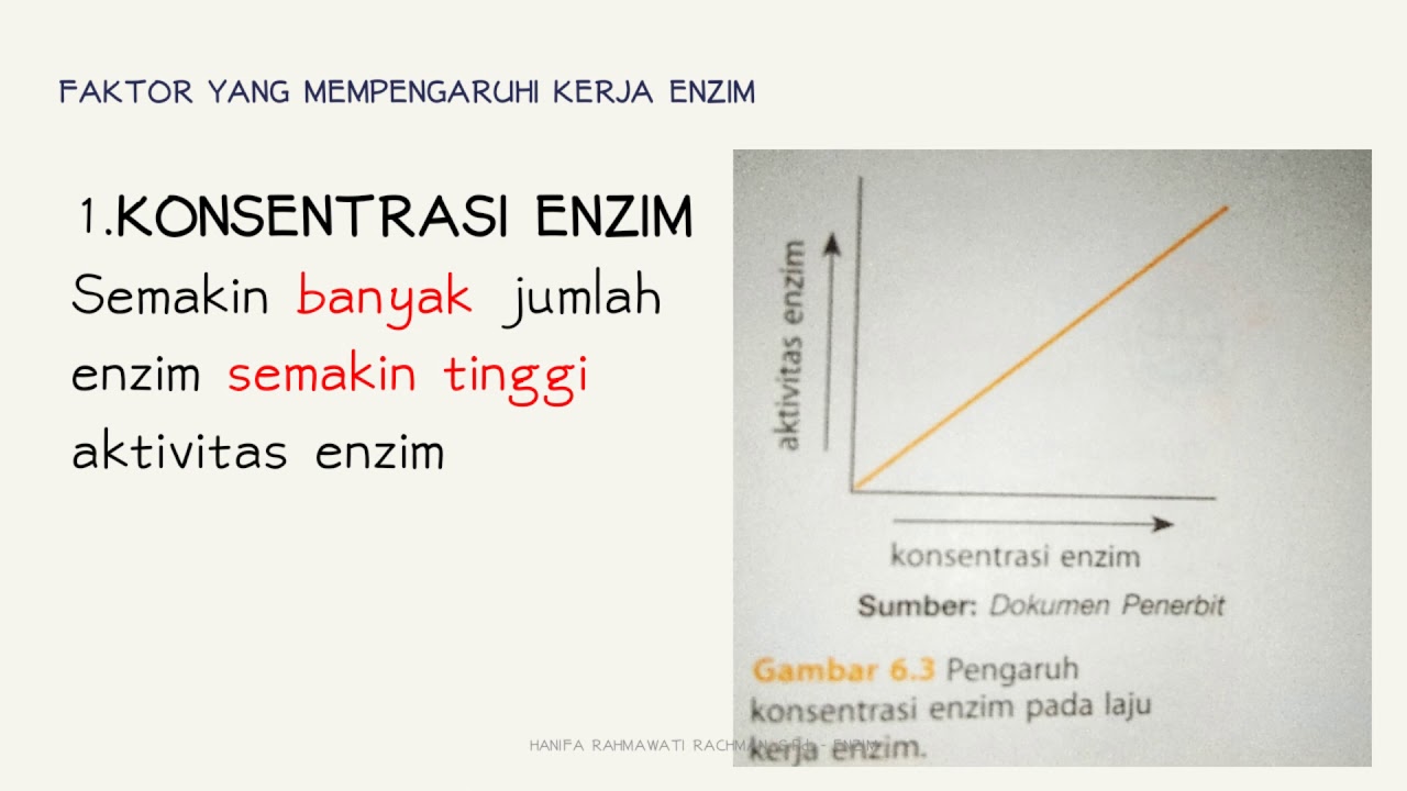 Konsentrasi Enzim Dan Substrat - YouTube