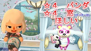 【ポケ森】5個食べます！新作クッキー🐼タンタンと華やぐシノワズリ！