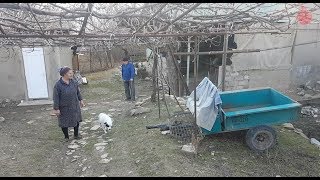 ,,აღარავინ ჩერდება სოფელში" - ფოლადაშვილები პანტიანიდან