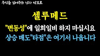 [셀루메드 주가전망]  \