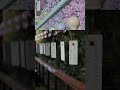 blender 3d 七夕 tanabata festival in japan.