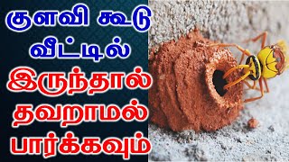 குளவி கூடு வீட்டில் இருந்தால் தவறாமல் பார்க்கவும் | Astrology | T Tamil Technology