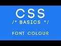 CSS Basics Tutorial 8 - Font Colour