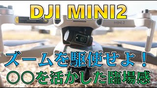 【DJI MINI 2】 Shooting method and 4 features that make full use of the 4K 2x zoom function