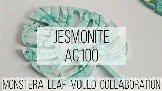 Jesmonite Monstera Leaf Trivet *Collaboration with Shop Resin Molds*