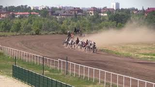 06 Приз Пиона ЖиК орп старшего возраста 2400 Воронежский ипподром, 30.06.2024