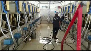 Khalis milk dairy worker clean the milk proceessing area during mlking