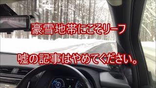 ４０Kリーフオーナーの言いたい放題  嘘の記事には注意！豪雪地帯でEVに乗っています。