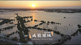 雲林成龍溼地｜落日餘暉之美 4k 空拍