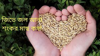 এইভাবে শংকর মাছের ঝাল রান্না করলে নিমেষেই শেষ হয়ে যাবে একথালা ভাত