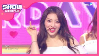 [Show Champion] 세러데이 - D.B.D.B.DIB (SATURDAY - D.B.D.B.DIB) l EP.365