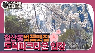 광명 철산도덕파크타운 임장🏘️ (철산역세권, 대단지, 신혼부부천국, 가성비갑👍🏻)